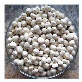 moringa plantation seeds