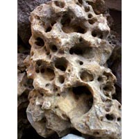 Aquarium Coral Stone