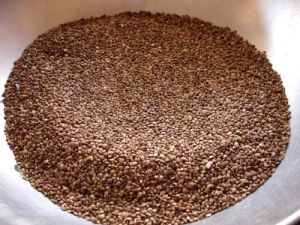 Kodo Millet Seeds