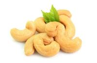 Natural Whole (NW) Cashew Nut