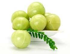 Fresh Amla