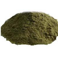 Gymnema Sylvestre Powder