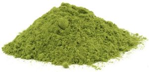 Moringa Powder