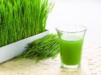 Wheatgrass Juice