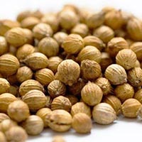 Coriander Seeds