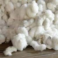 Raw Cotton