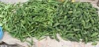 Indian Fresh Vegetables