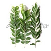 Organic Curry leaves