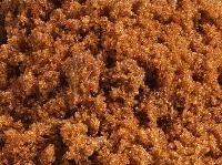 RAW BROWN SUGAR