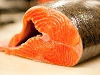 Salmon