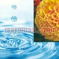 Marigold Floral Water