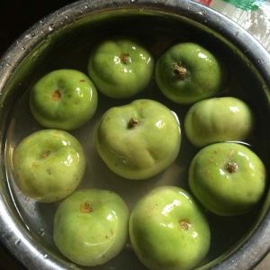 Brined Apple Gourd