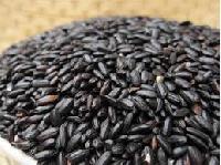 Black Rice