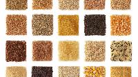 Food Grains