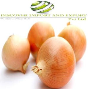 onion red