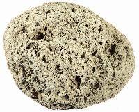 Pumice Stones