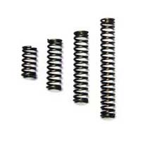 Valve Springs