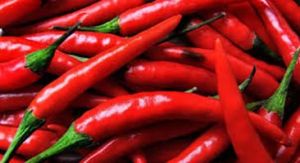 Fresh Red Chilli