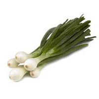 Fresh Spring Onion