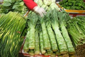 fresh chinese vegetables