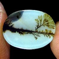 Dendritic Agate