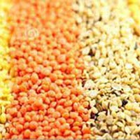 Indian Pulses