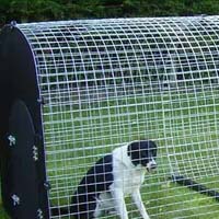 Dog Kennels