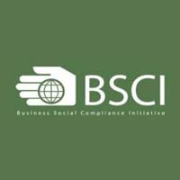 Social Compliance Auditing