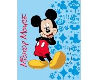 Disney Mickey 2