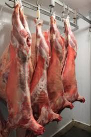 lamb and goat carcass