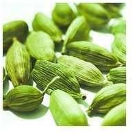 Cardamom