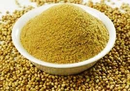 Coriander