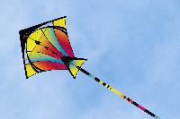 Kites