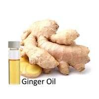 Ginger Root Oil