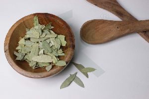 CASSIA ANGUSTIFOLIA EXTRACT (Senna leaves / Pods extract)