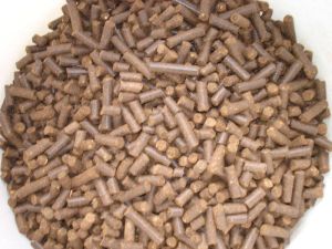 neem organic fertilizer