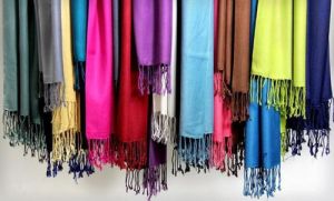 Pashmina Shawls