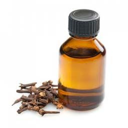 Clove Oil