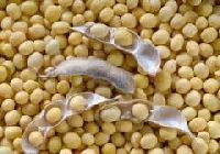 soybean dal