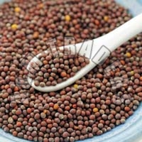 Mustard Seeds