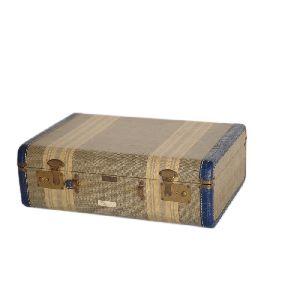 Printed Canvas Blue Color Leather-trimmed trunk