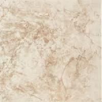 Marble Floor Tiles