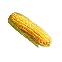 Corn Cob