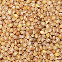 Barnyard Millet Seeds