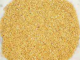 Foxtail Millet Seeds