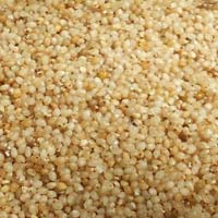 Kodo Millet Seeds