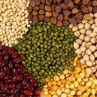 Indian Pulses