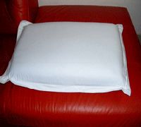 Rubber Pillows