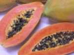 Papaya Pulp