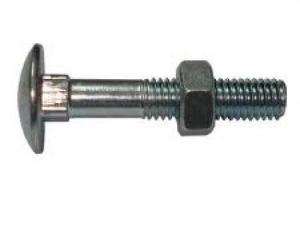 Carriage Bolts